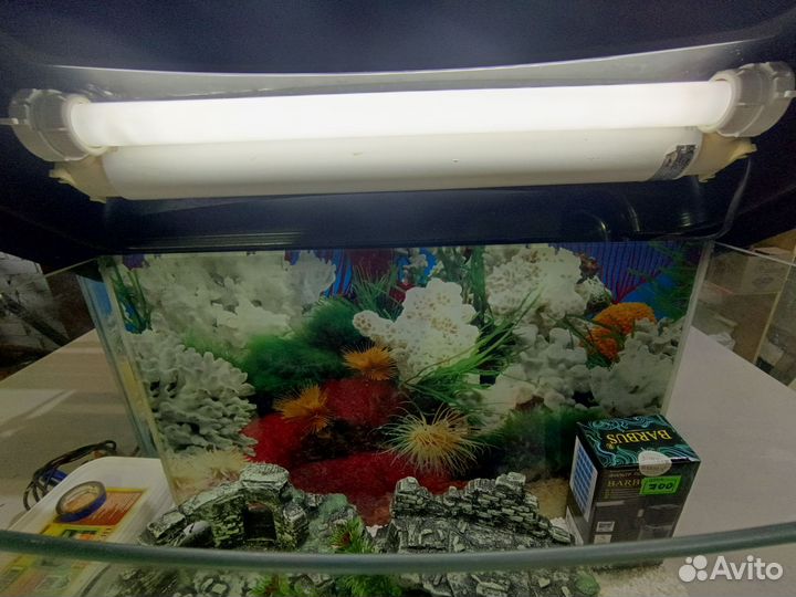 Аквариум с декором