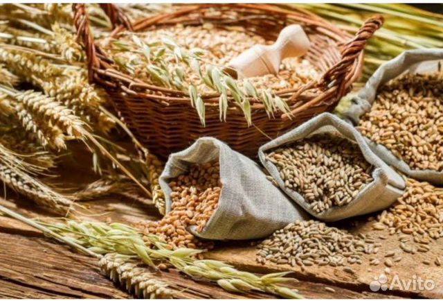 Корма для сельскохозяйственных