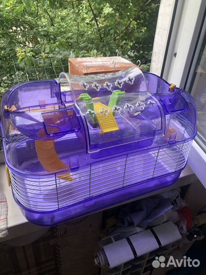 Клетка для сирийских хомяков