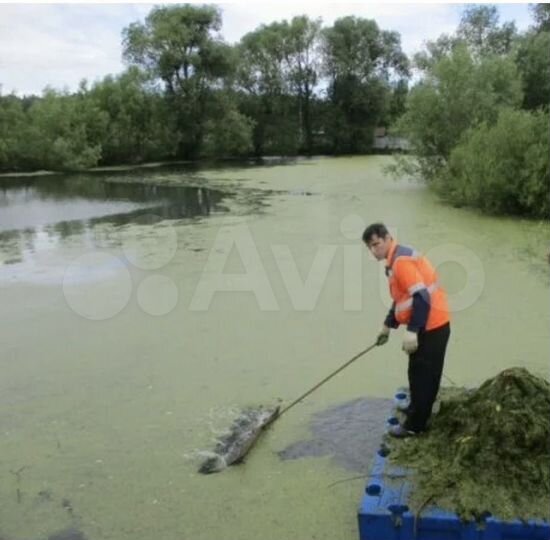 Участок 8 сот. (ИЖС)