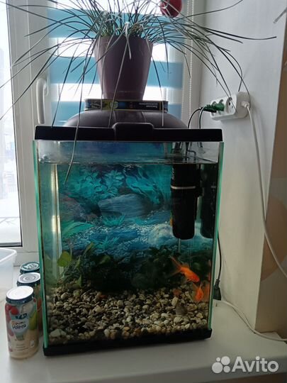 Аквариум