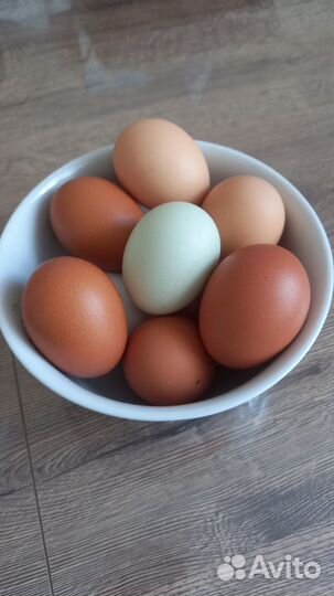 Домашние куриные яйца