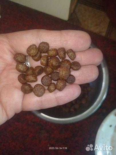 Сухой корм для кошек 10 кг