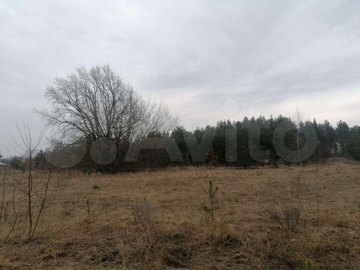 Участок 50 сот. (ИЖС)