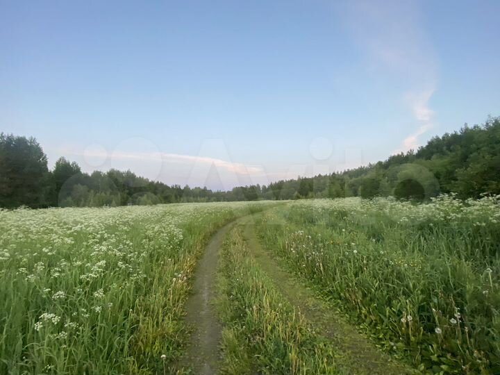 Участок 1,3 га (СНТ, ДНП)