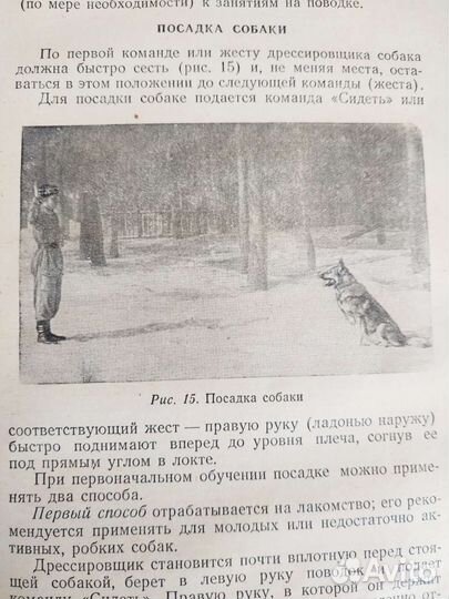 Собаковод-любитель, 1955 год, Изд досааф