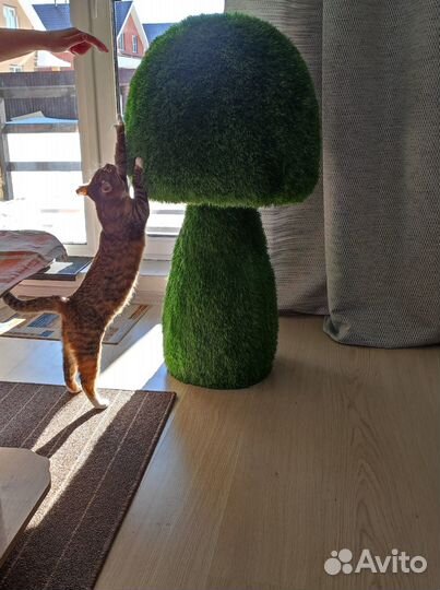 Топиарные фигуры