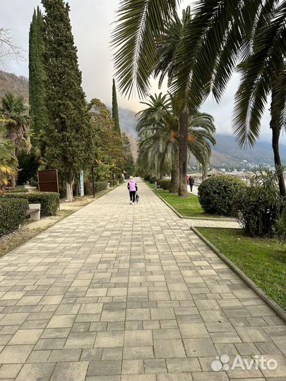 Трансфер / Экскурсии по Абхазии и Сочи