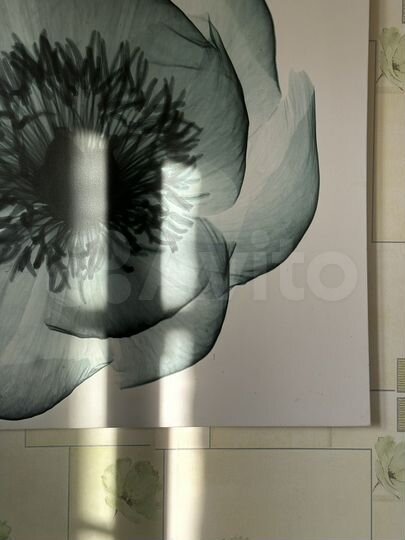 1-к. квартира, 44 м², 3/5 эт.