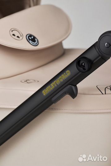 Коляска 2 в 1 Anex e/type (JOY) новинка