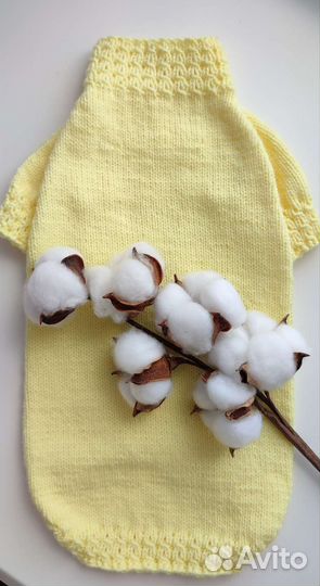 Одежда для собак и кошек