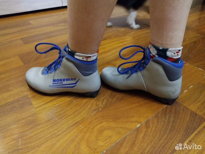 Лыжные ботинки nordway 37