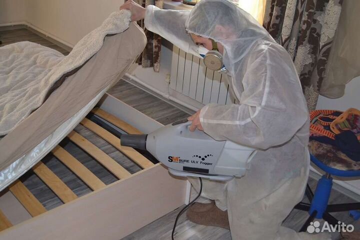 Уничтожение Тараканов Клопов Блох Ос Крыс