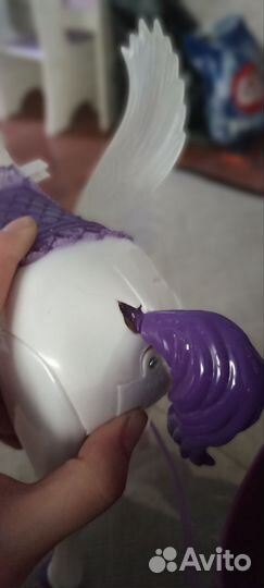 Лошадь с каретой