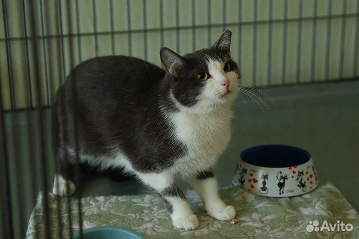 Марта очень хочет домой