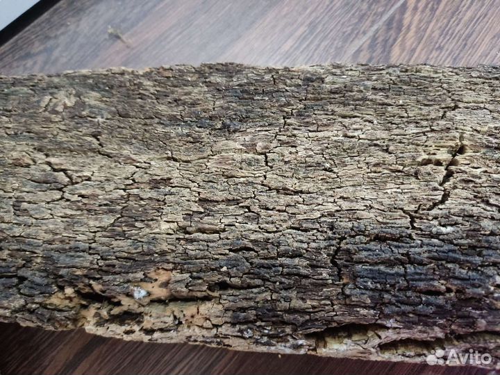 Кора пробкового дуба