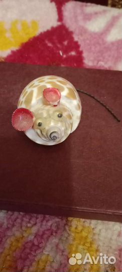 Ракушки сувенирные