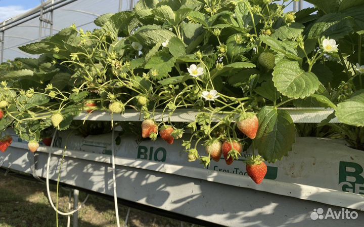 Кокосовые маты BioGrow