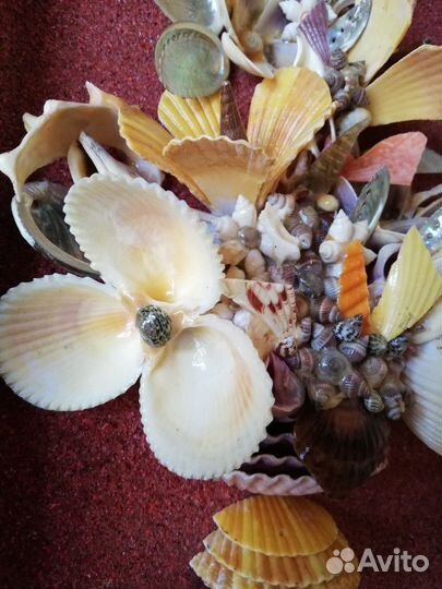 Картины из ракушек