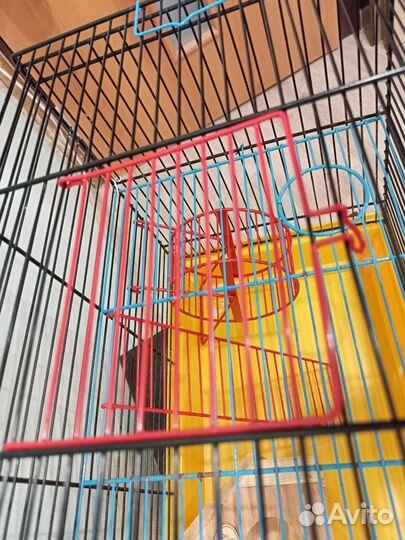 Клетка для грызуна
