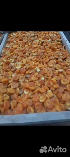 Курага домашняя