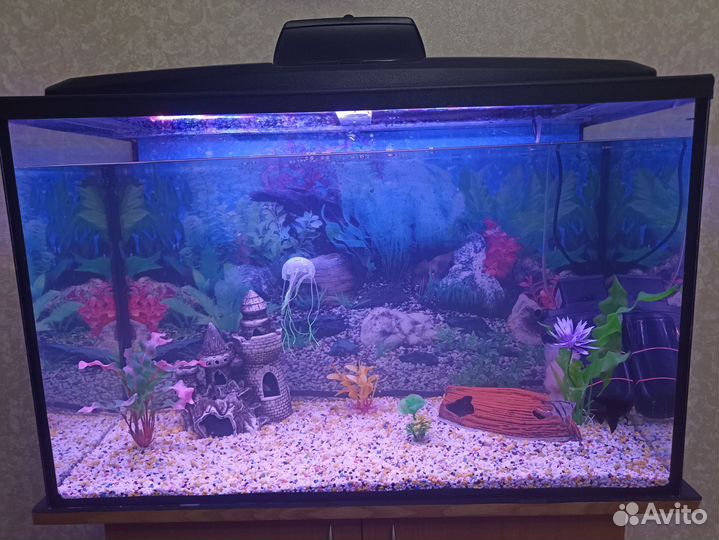 Аквариум с аксессуарами