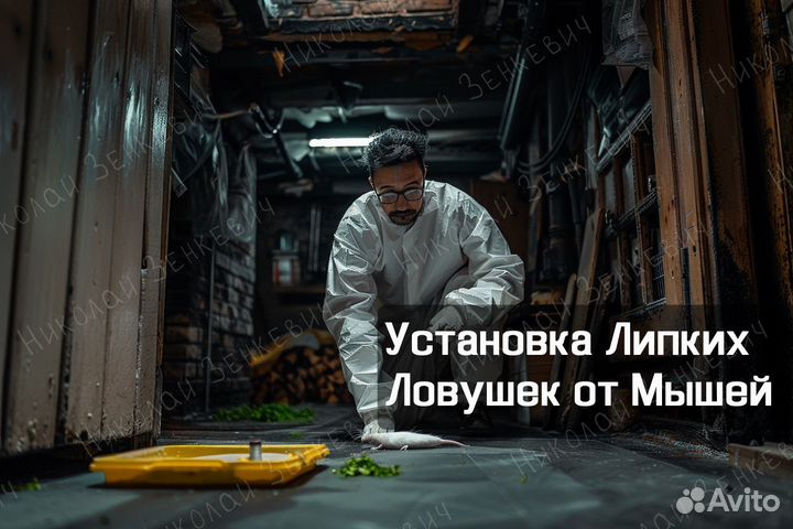 Уничтожение Мышей, Крыс, Грызунов - Дератизация