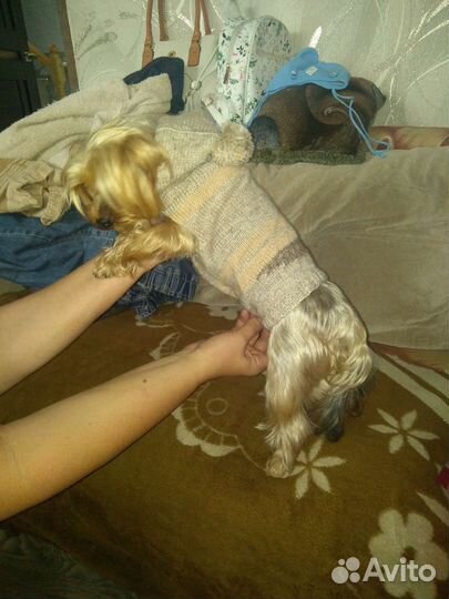 Тёплая вязанная одежда для питомцев