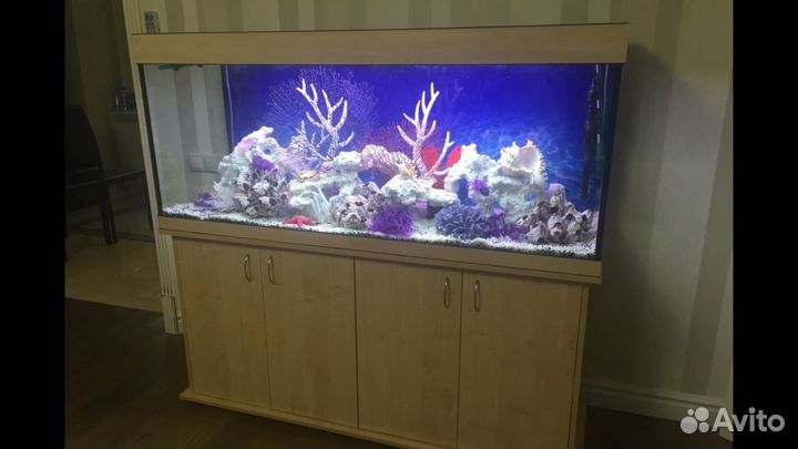 Аквариумы. Черепашники.Терариумы. Ростов