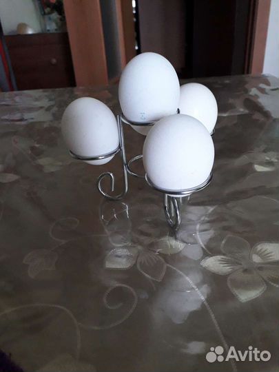 Подставка для яиц