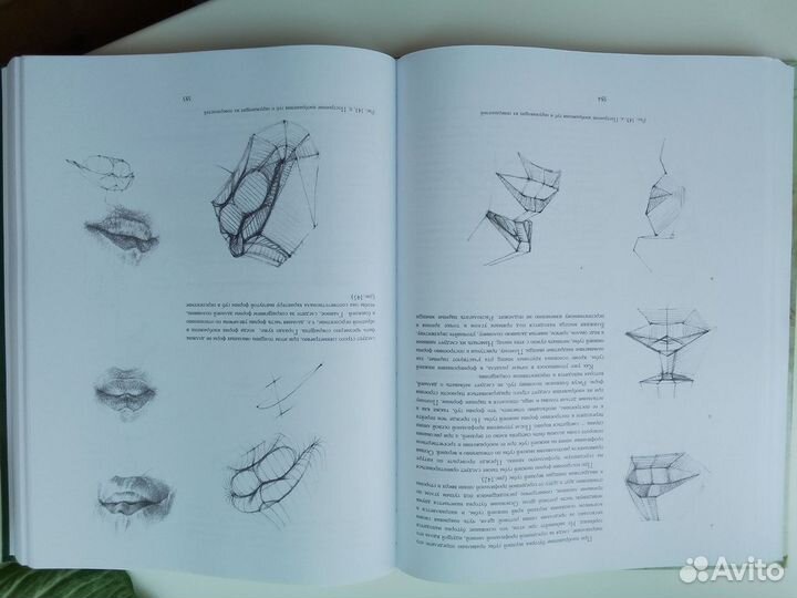 Основы Учебного Академического Рисунка