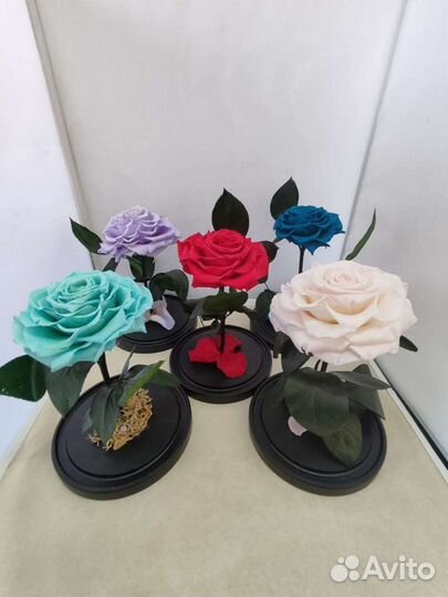 Роза в колбе опт и розница