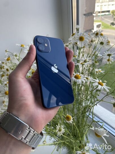 iPhone 12 mini