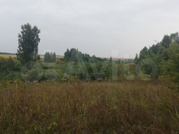 Участок 100 сот. (СНТ, ДНП)