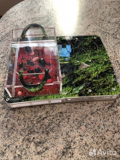 Муравьиная ферма бу