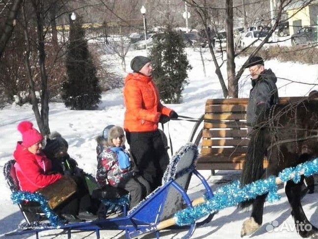 Сани для лошади упряжь дуга обмен