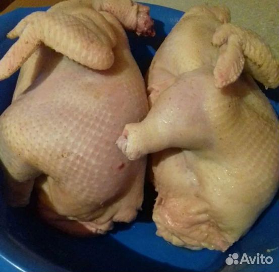 Мясо домашнего бройлера