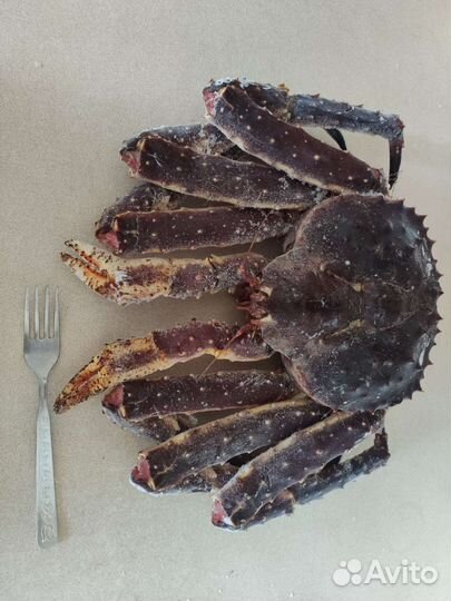 Краб камчатский от