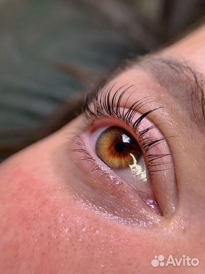 Ламинирование и ботокс ресниц