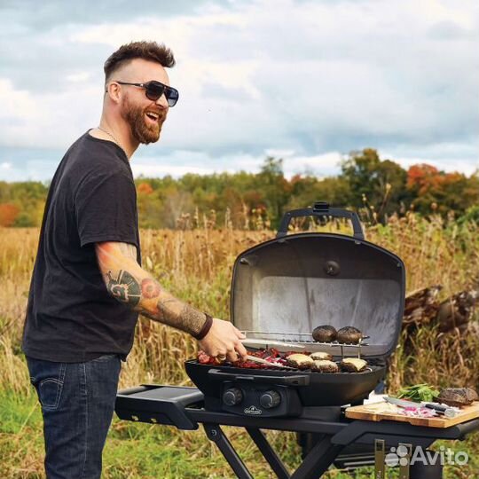 Мобильный газовый гриль Napoleon, TravelQ PRO 285X