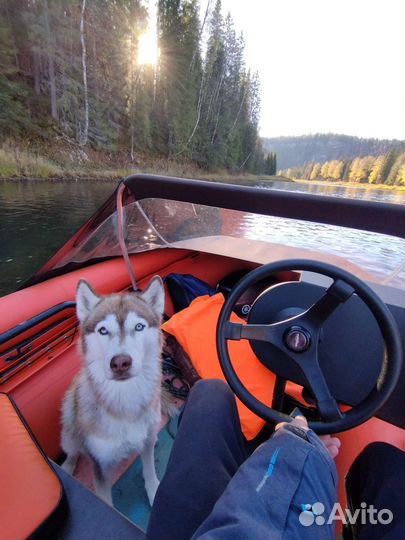 Катание на лодке по реке Усьва Усьвинские столбы