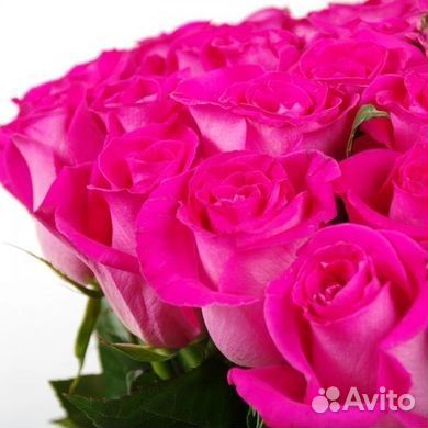 Роза чайно-гибридная Утро Парижа (Utro Parisa)