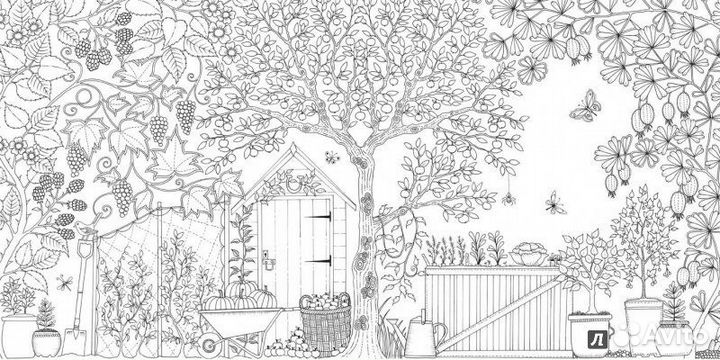 Раскраска Джоанна Бэсфорт «Таинственный сад»