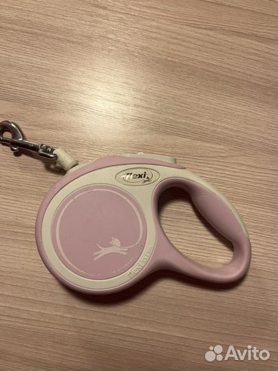 Рулетка, намордник, сапоги