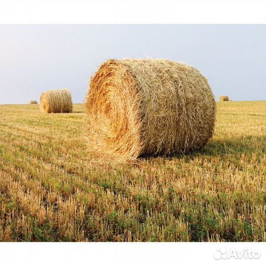 Солома 2023 г