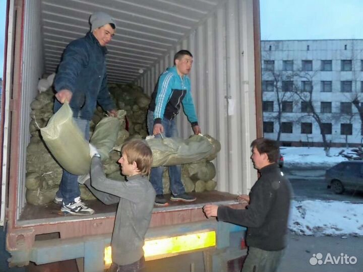 Грузчики, разнорабочие, подсобники