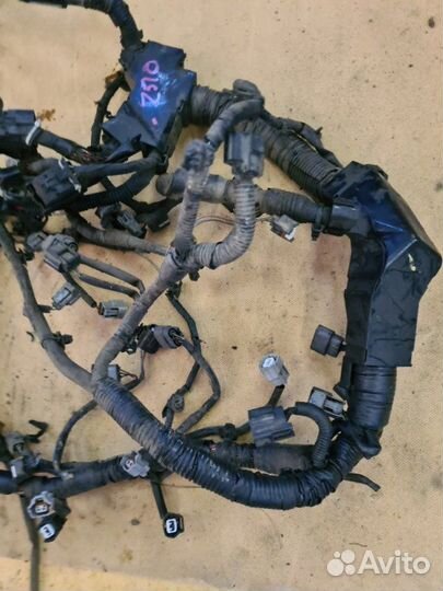 Проводка двс Nissan Murano Z51 VQ35DE 2012