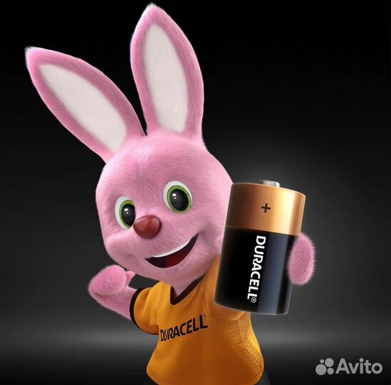 Батарейка Duracell D 2 шт