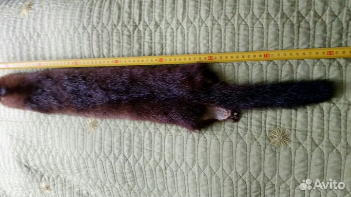 Шкурка животного