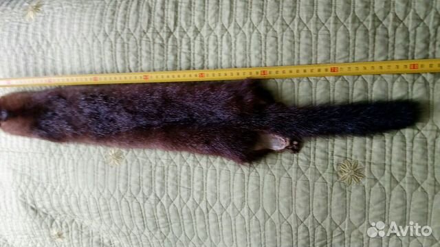 Шкурка животного